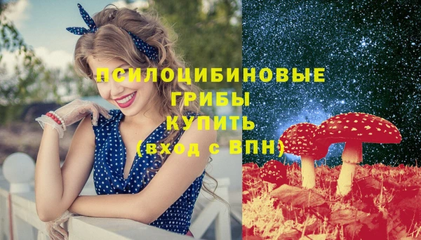 прущие крисы Вязники